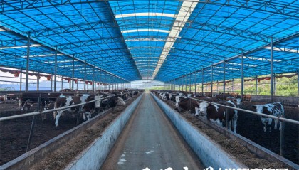 “金融活水”!习水农商银行助力小微企业“破茧重生”