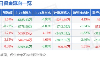 股票行情快报:大洋电机(002249)8月28日主力资金净卖出6185.13万元