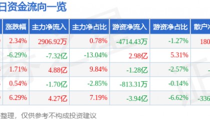 股票行情快报:江淮汽车(600418)8月28日主力资金净买入2906.92万元