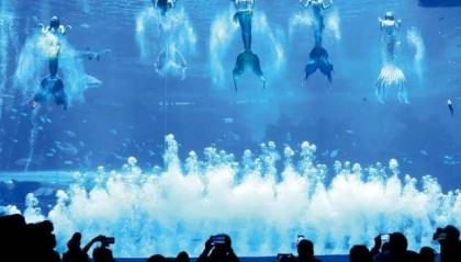 海洋公园,养不起虎鲸了