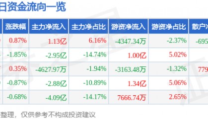 股票行情快报:江淮汽车(600418)8月11日主力资金净买入1.13亿元
