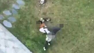 唐某(男,36岁)殴打小区遛狗女子,已立案!