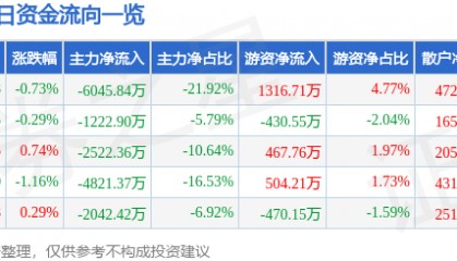 股票行情快报:大洋电机(002249)7月28日主力资金净卖出6045.84万元