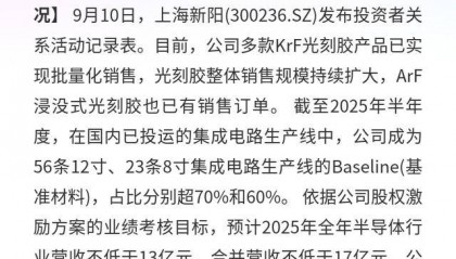 上海新阳:光刻胶销售增,2025营收目标超17亿