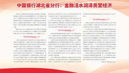 中国银行湖北省分行:金融活水润泽民营经济