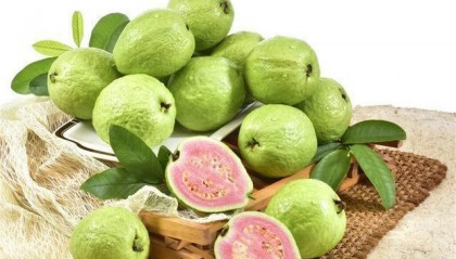 水果虚拟币(菠萝币区块链)