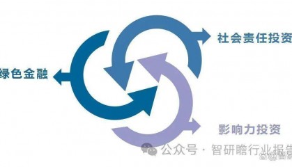 中国可持续金融深度调研及投资前景预测报告