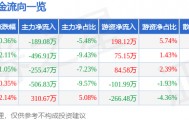 股票行情快报：瑞贝卡（600439）2月13日主力资金净卖出189.08万元