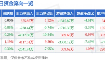 股票行情快报:大唐发电(601991)8月13日主力资金净买入375.85万元