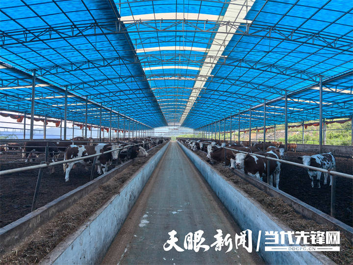 “金融活水”！习水农商银行助力小微企业“破茧重生”