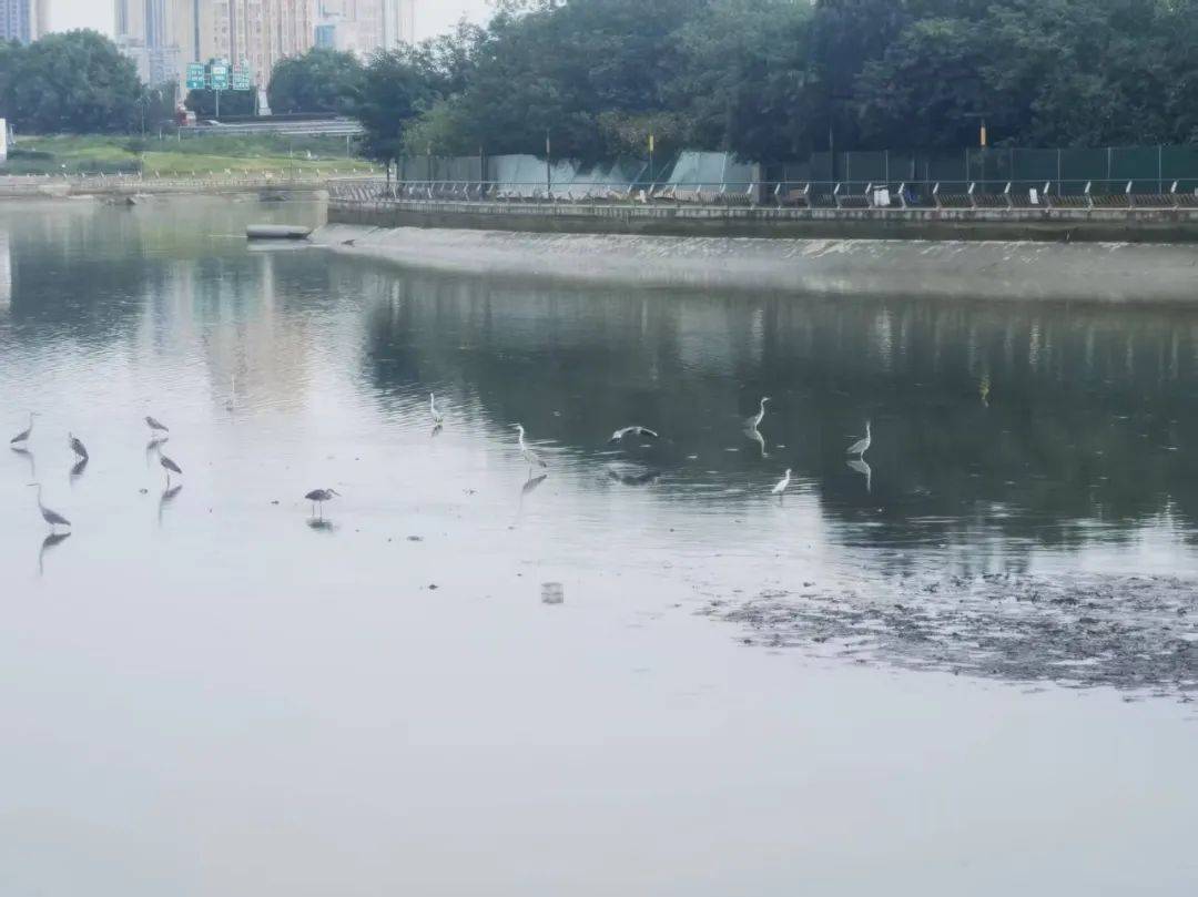 从明代的一粒沙到今日的金融岛