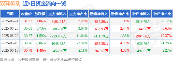 股票行情快报：双环传动（002472）6月24日主力资金净买入3102.44万元