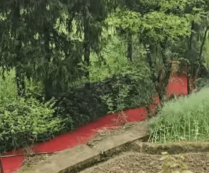 重庆跳蹬河变血红色原因查明！系焚烧废香及遗留染料流入河道